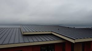 Best Roof Coating Services  in USA